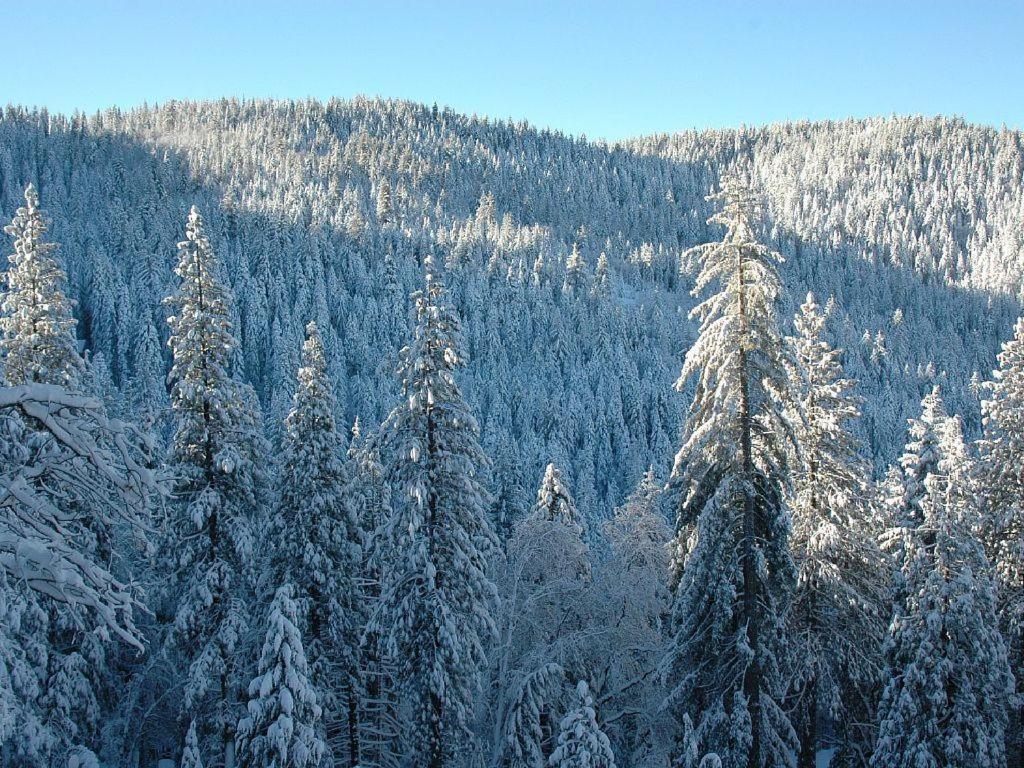 Villa Birds Eye Vista Yosemite West Exterior foto